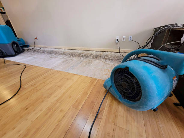 Professional Burst Pipe Water Damage technician working in Seabrook, SC